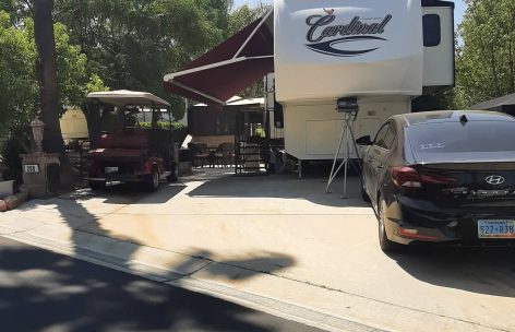 237955788_543799866849937_3913441963040314290_n